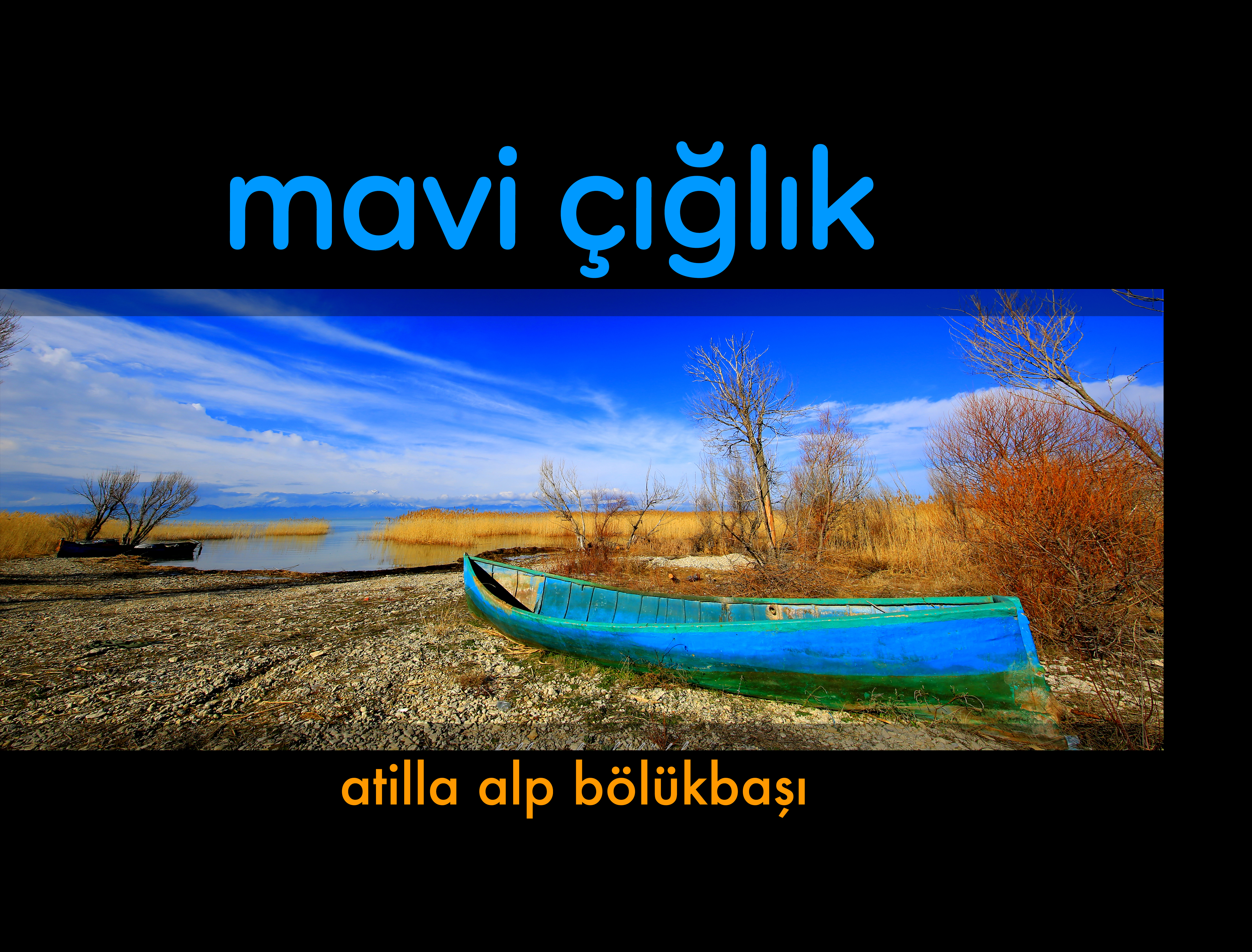 Mavi Çığlık