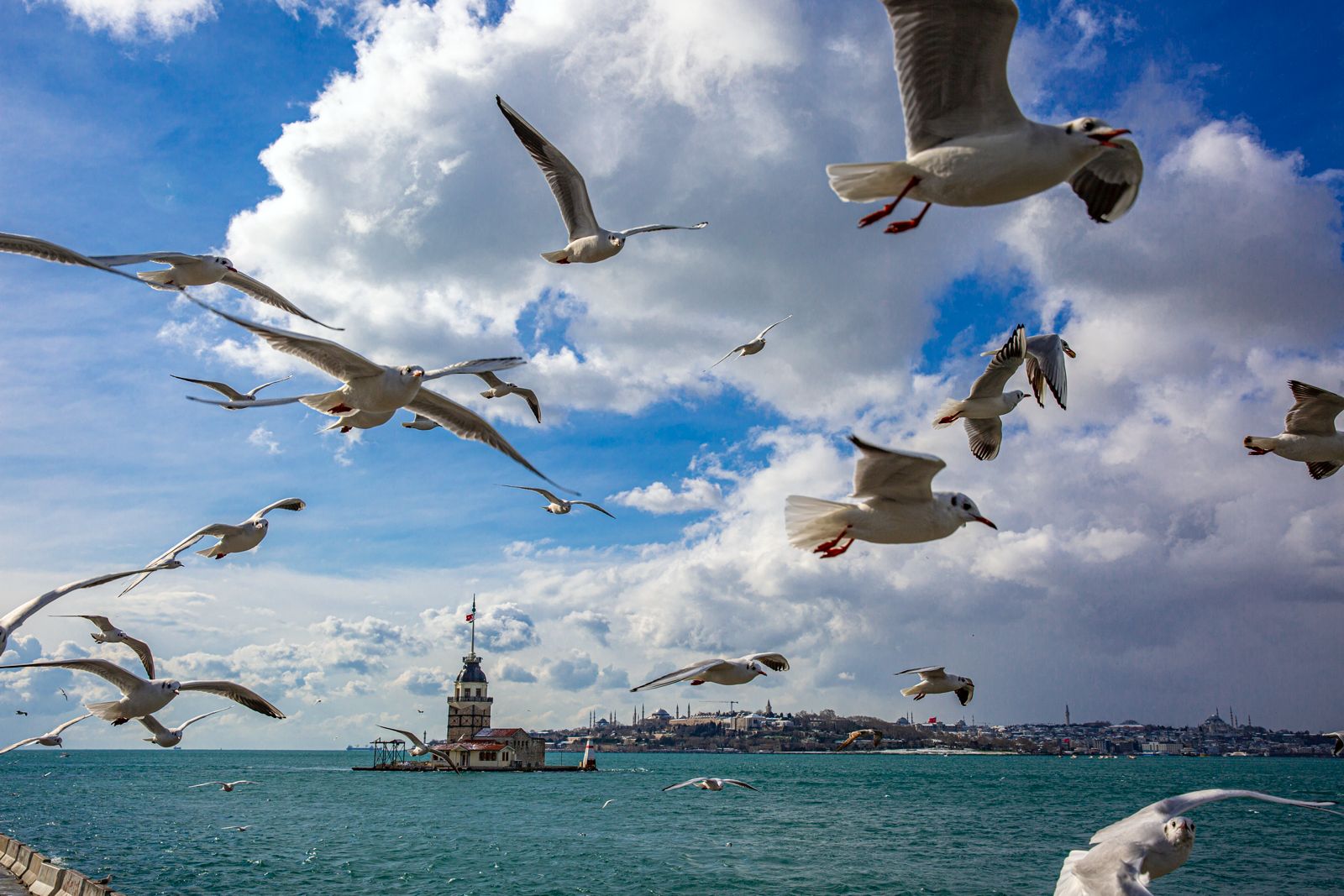 Mavi Çığlık 21