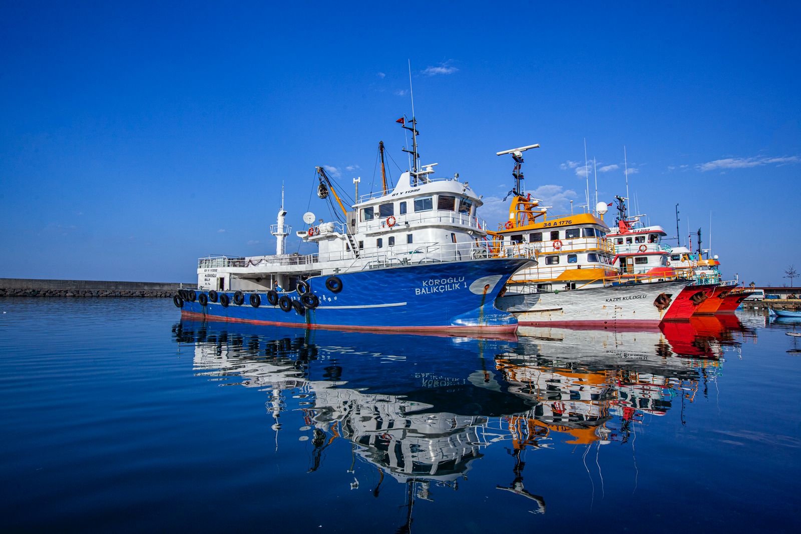 Mavi Çığlık 25