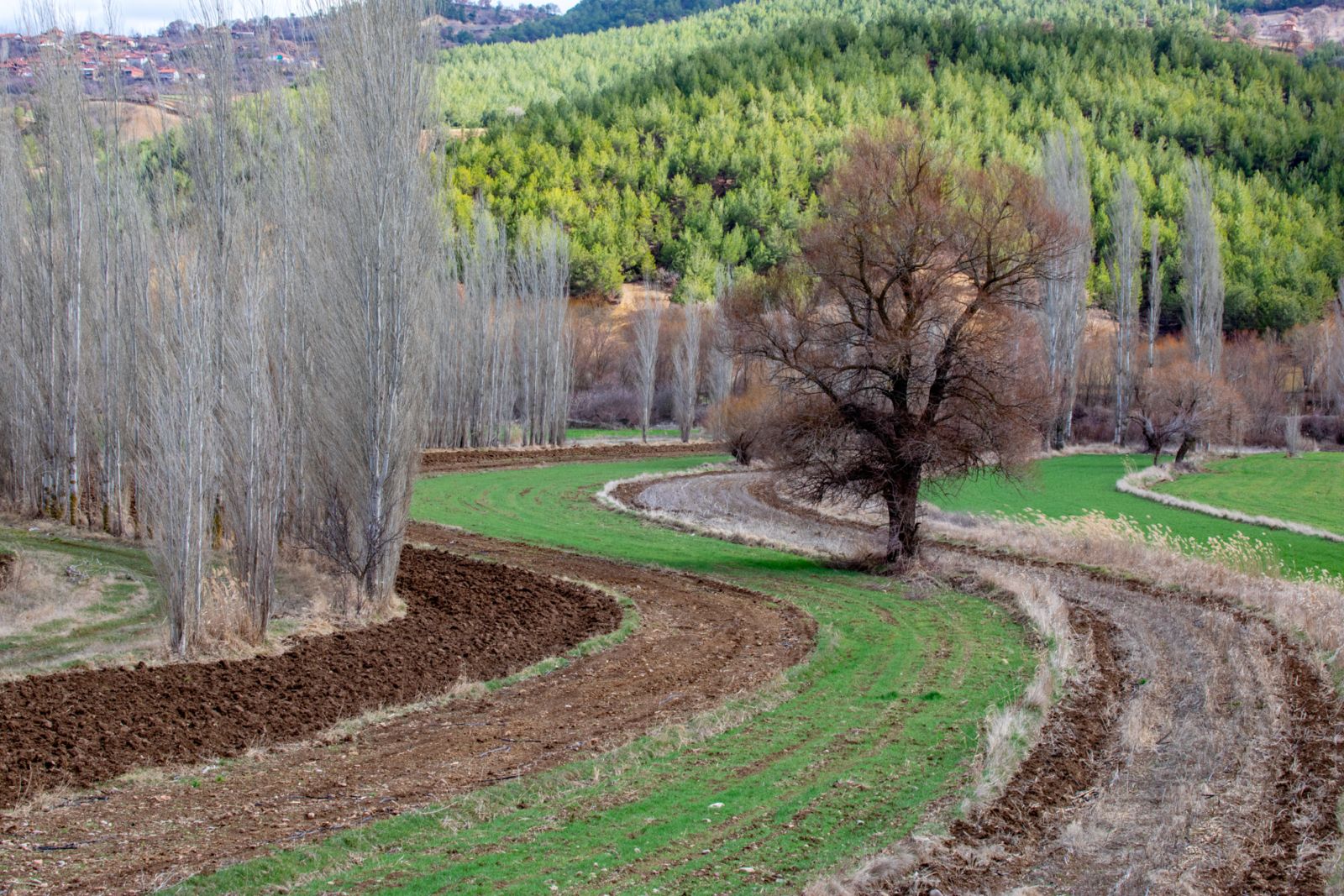 Anadolu 5