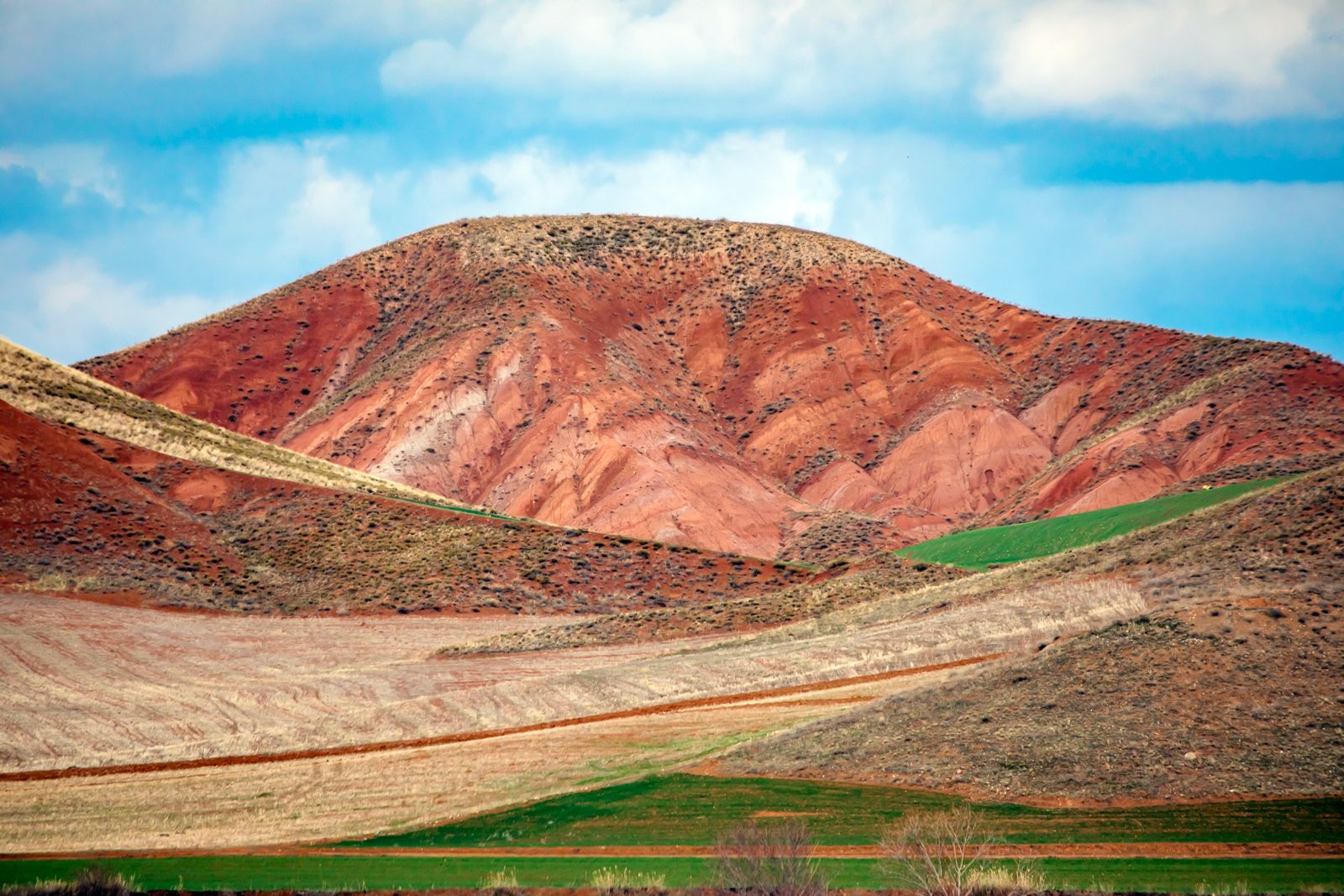 Anadolu 8