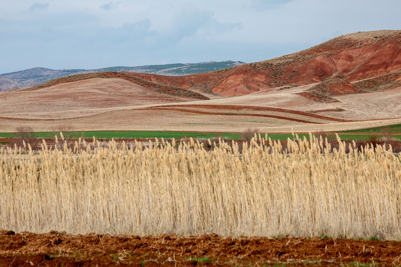 Anadolu 9