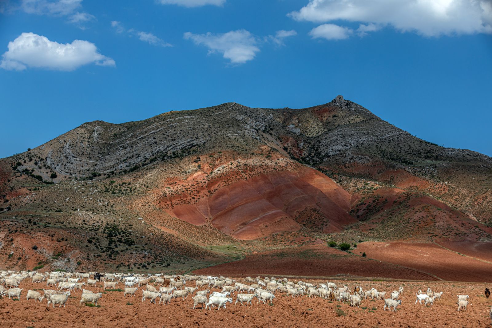 Anadolu 13