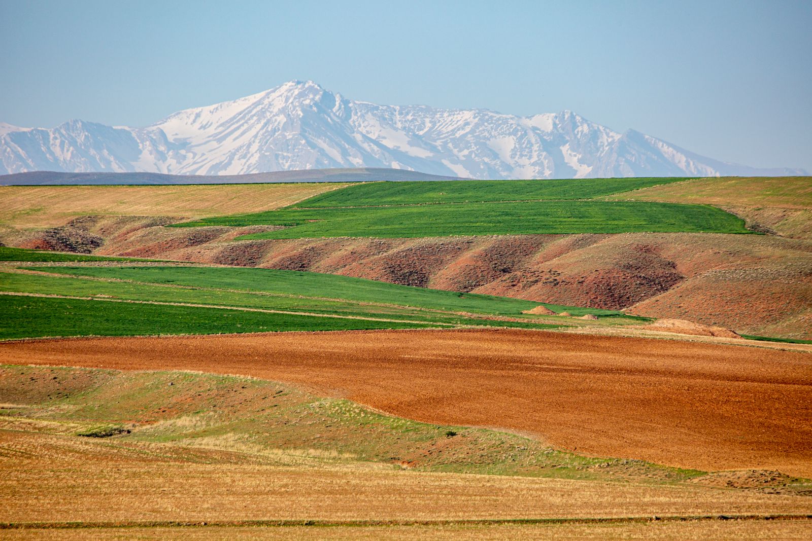 Anadolu 17