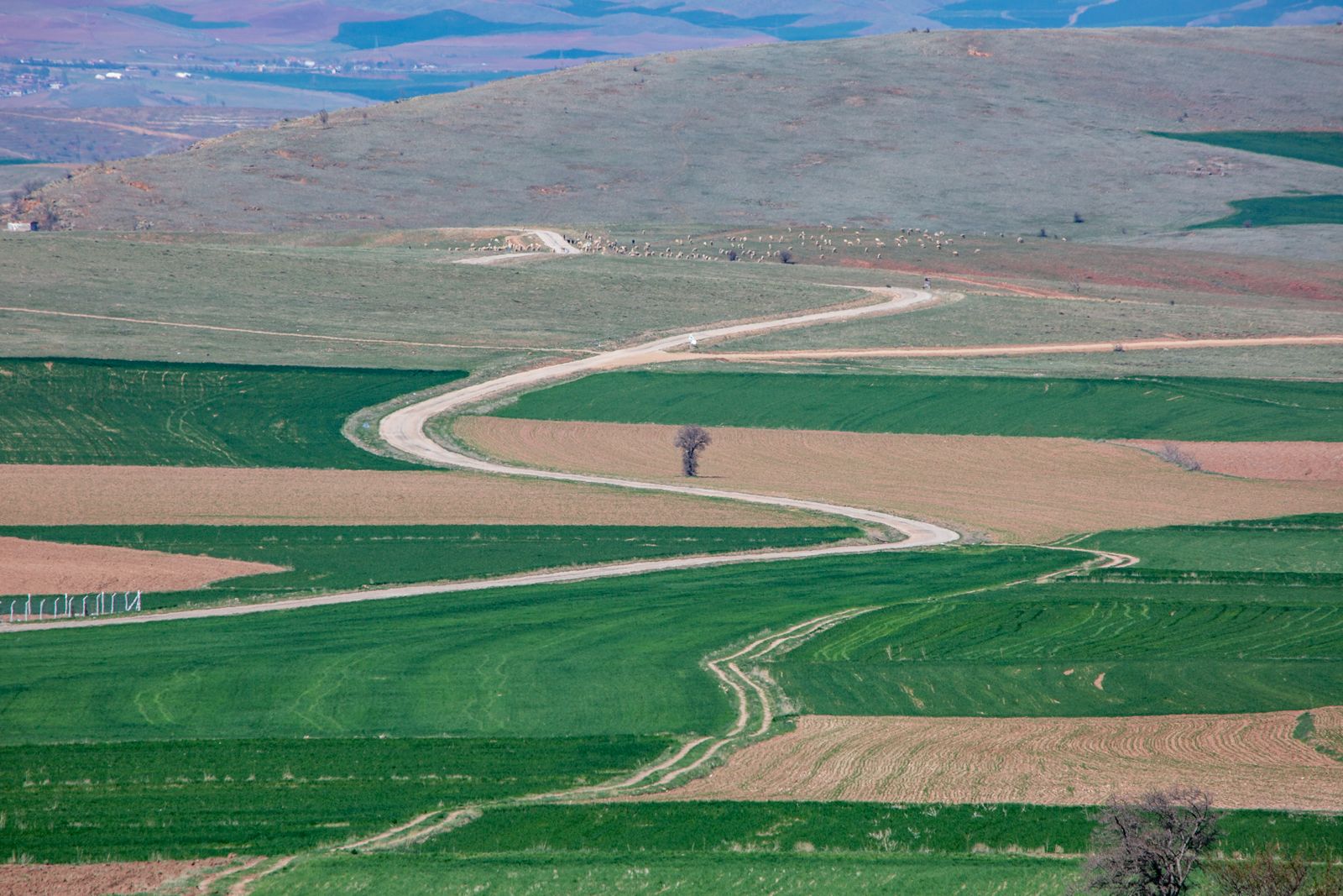 Anadolu 19