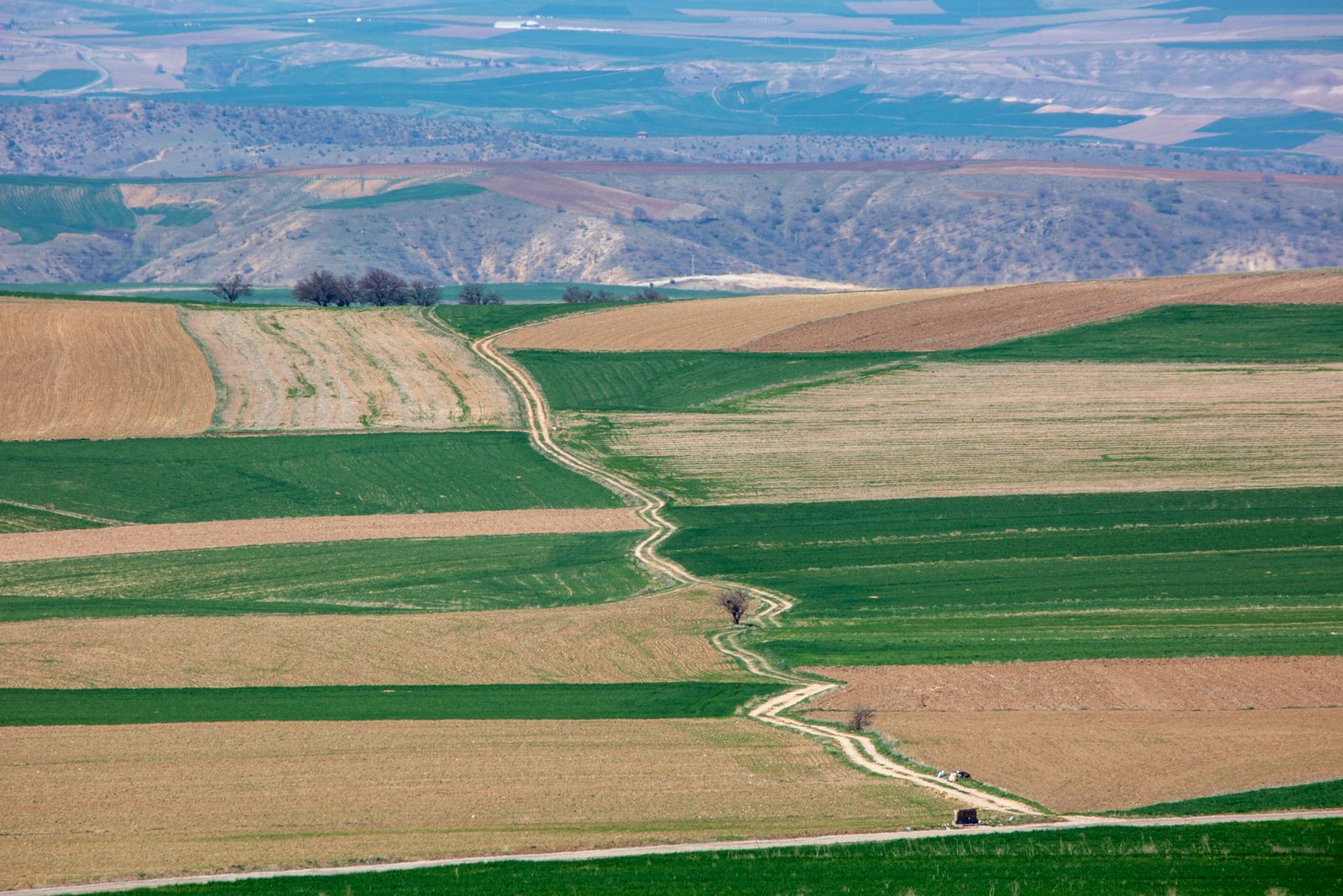 Anadolu 20