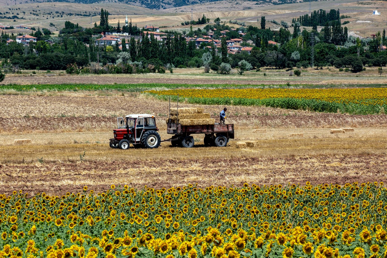Anadolu 23