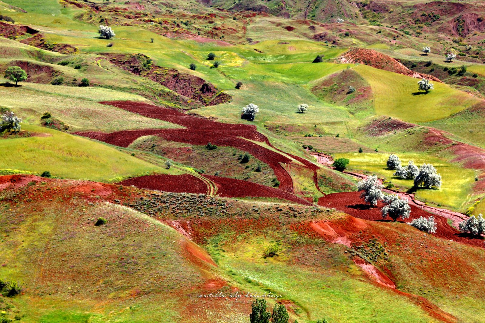 Anadolu 26